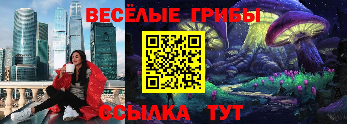 Галлюциногенные грибы Psilocybe  Псилоцибиновые грибы мухоморы  Камень-на-Оби  Вход с VPN 